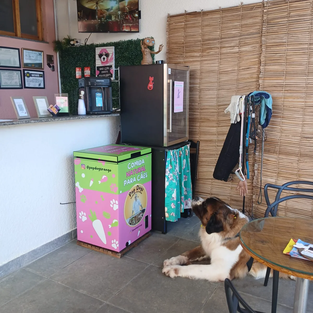 Recepção da Chita Bakana